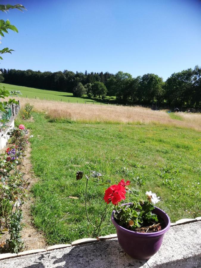 Gite Les Chaumeix Prondines Exteriör bild
