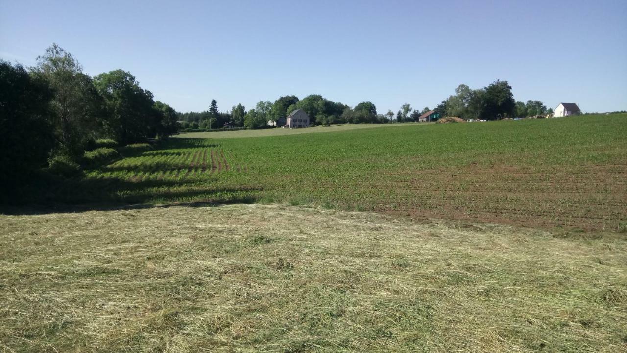 Gite Les Chaumeix Prondines Exteriör bild