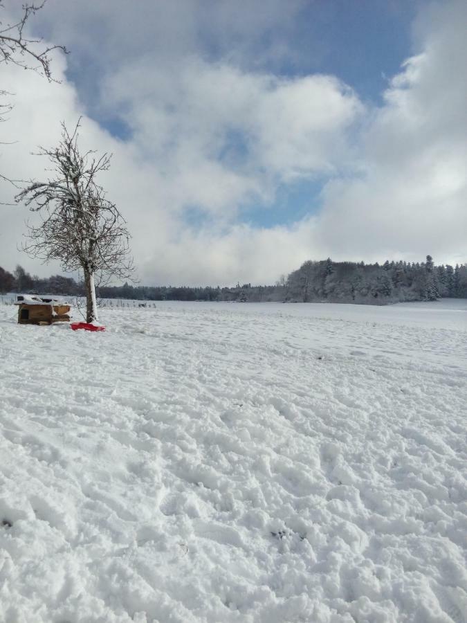 Gite Les Chaumeix Prondines Exteriör bild