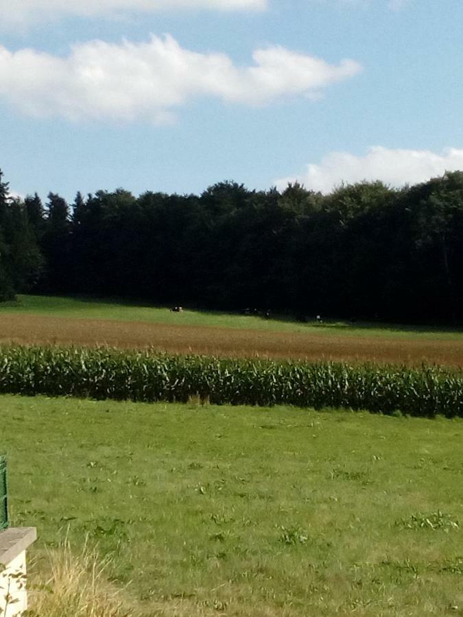 Gite Les Chaumeix Prondines Exteriör bild