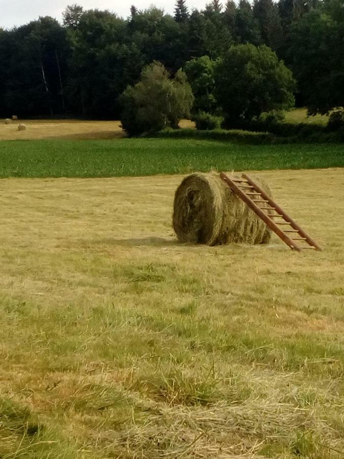 Gite Les Chaumeix Prondines Exteriör bild