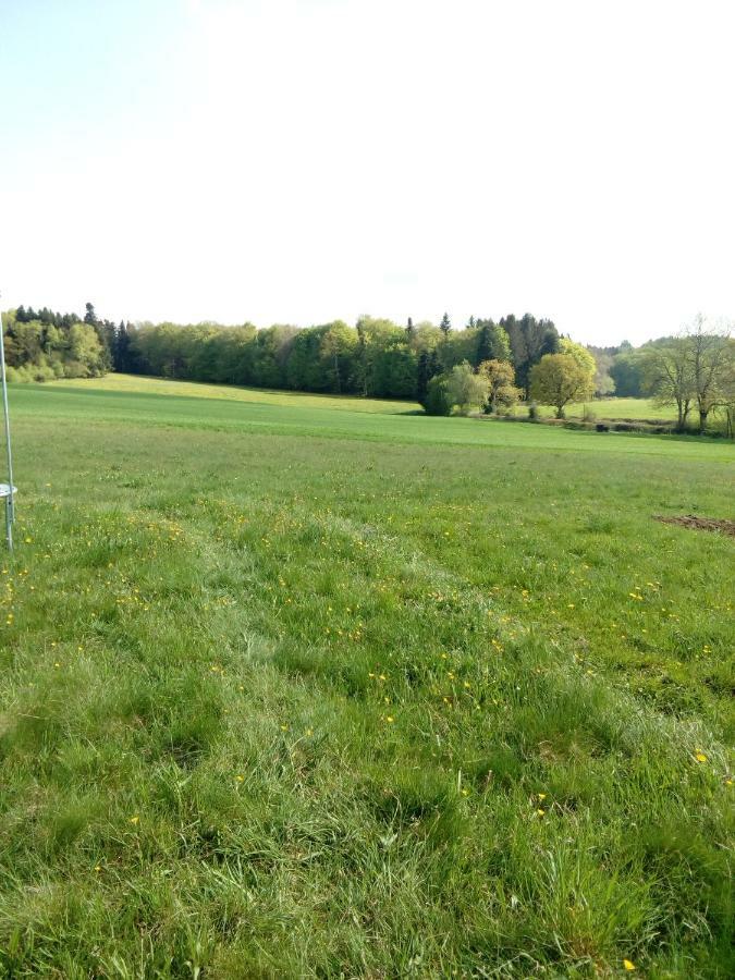 Gite Les Chaumeix Prondines Exteriör bild